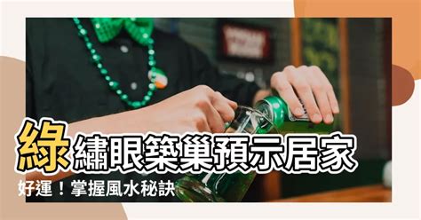 綠繡眼築巢風水